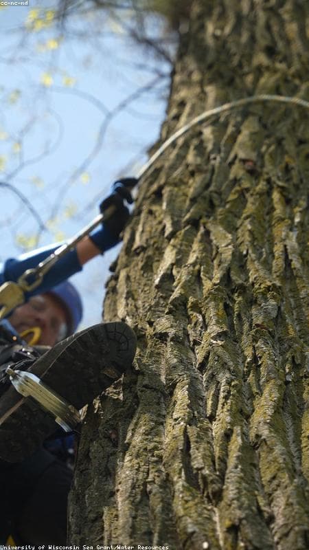 El río contaminado se va hacia la represa de Incachaca