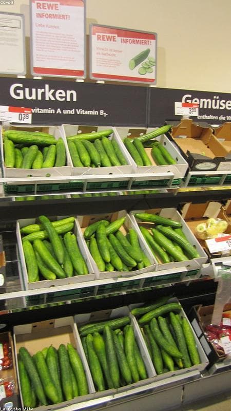 ¡Ratas en bolsas de harina!